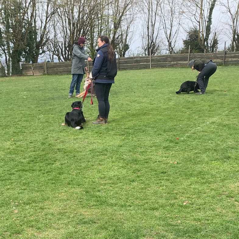 WhatsApp Image 2026-03-28 at 14.05.51