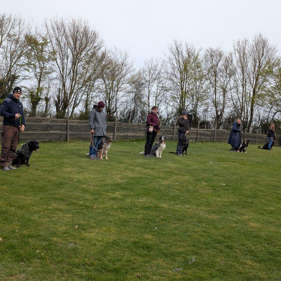 WhatsApp Image 2026-03-28 at 14.57.50